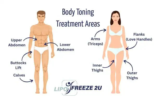 Graphic showing where you can have Body toning Treatment Wellingborough on your body